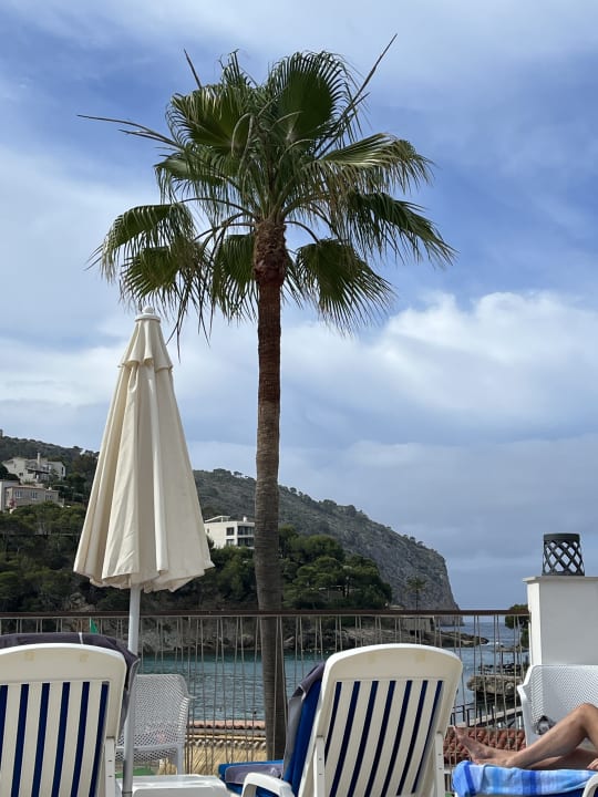 Gartenanlage Grupotel Playa Camp de Mar