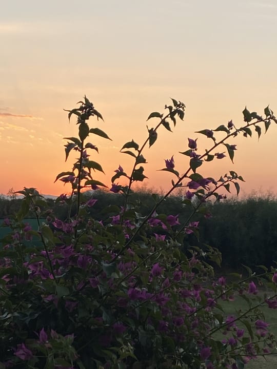 Außenansicht Oz Hotels Incekum Beach