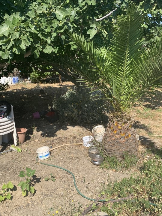 Gartenanlage Evripides Village