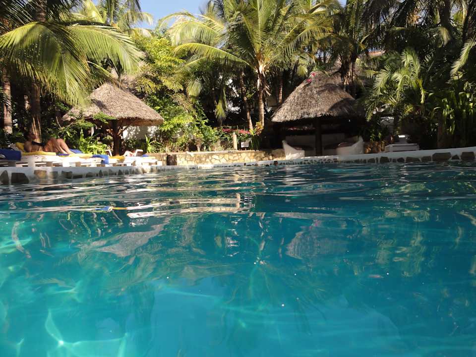 Pool Hotel Scorpio Villas