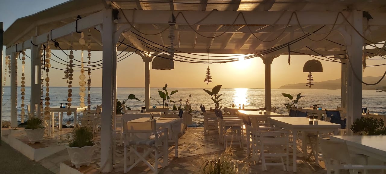 Gastro Cactus Beach