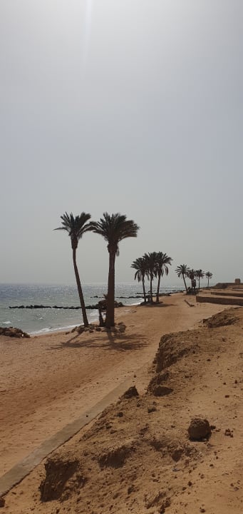 Strand Pickalbatros Citadel Resort