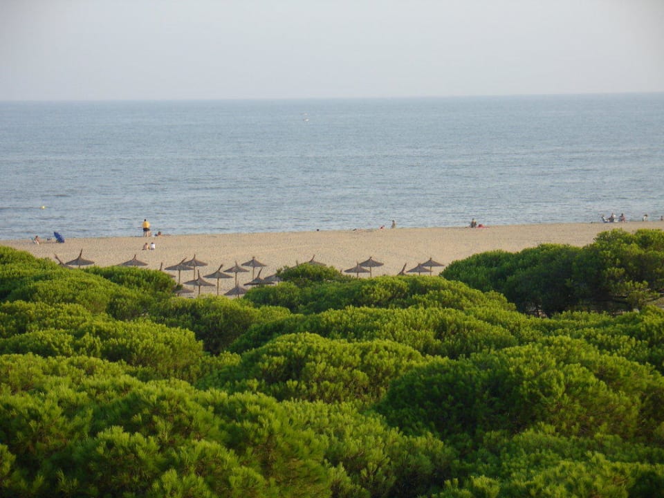 Blick aus oberster Etage auf Pinienwald und Strand TUI BLUE Isla Cristina Palace