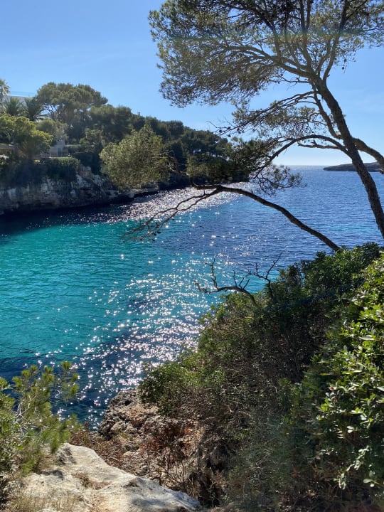 Ausblick ROBINSON CALA SERENA