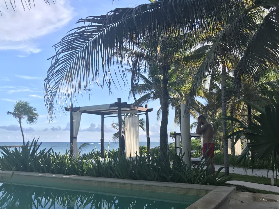 Pool Akumal Bay Beach & Wellness Resort