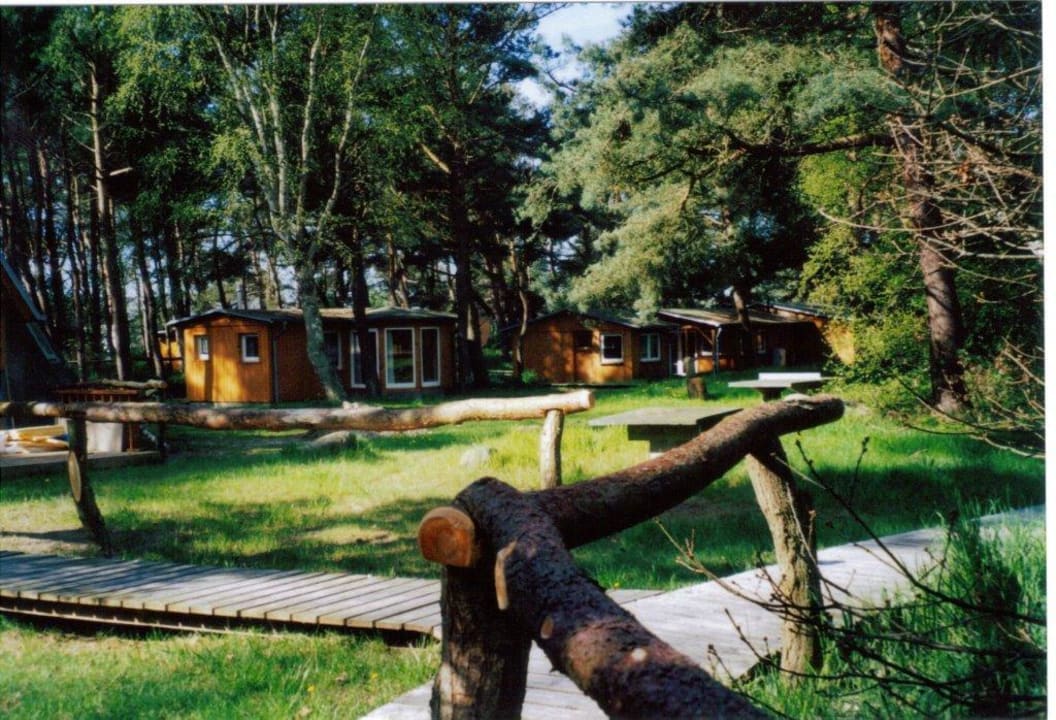 Ferienhaus Außenansicht Ferienpark Heidehof