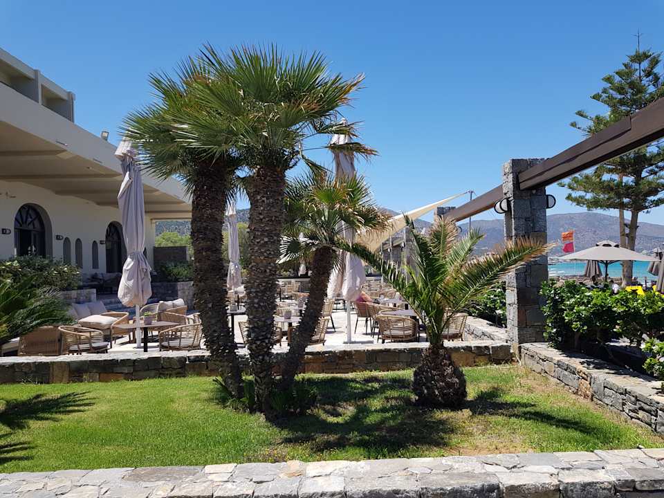 Gartenanlage allsun Hotel Malia Beach