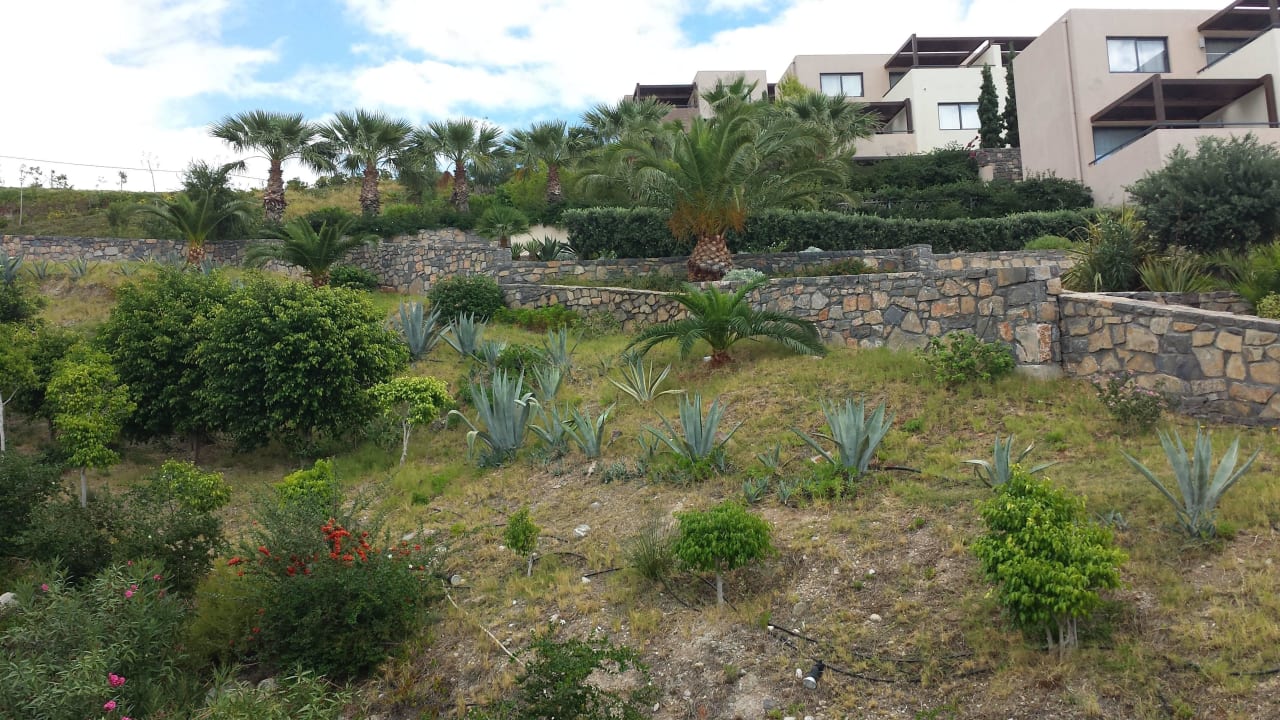 Garten Atlantica Mikri Poli Crete