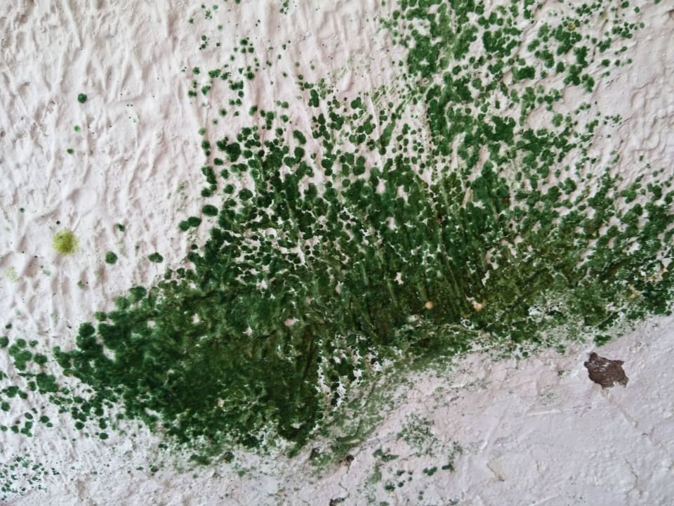 Im Flur Hotel Marina Club