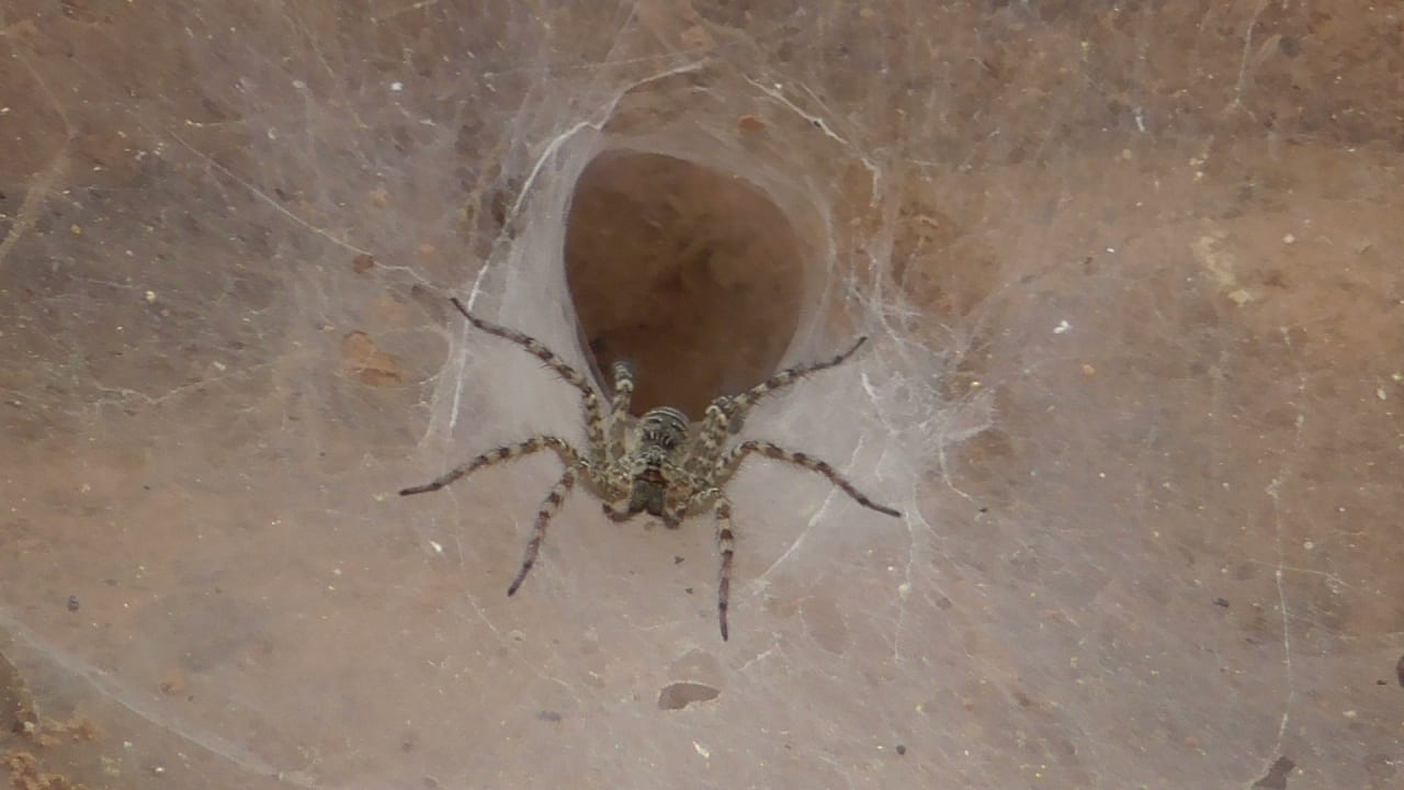 Sonstiges Hotel Hoi An Beach Resort