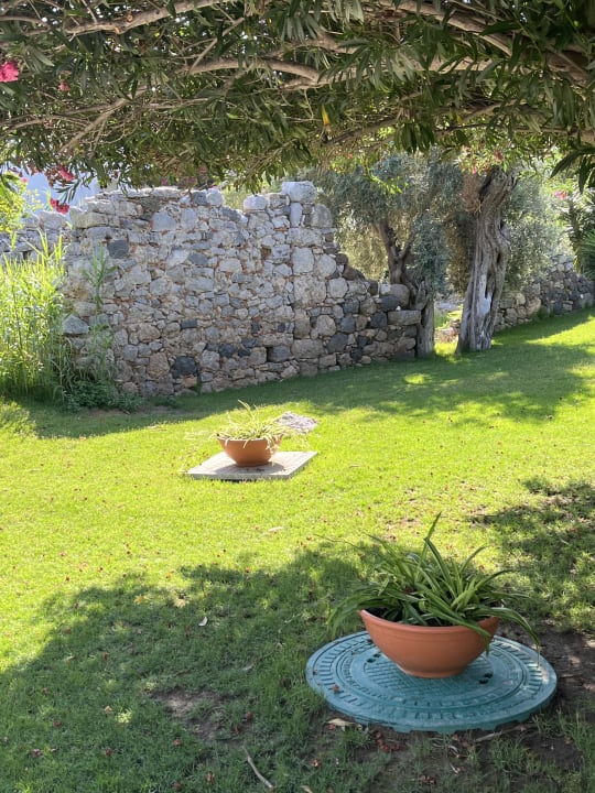 Gartenanlage TUI BLUE Sarigerme Park