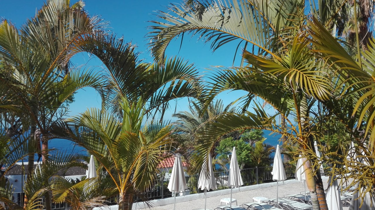 Ausblick Hotel Jardin Tecina
