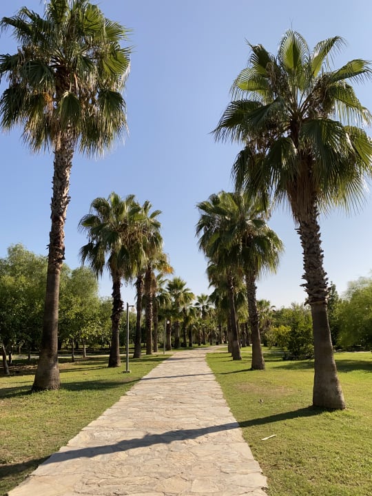 Gartenanlage Club Grand Side