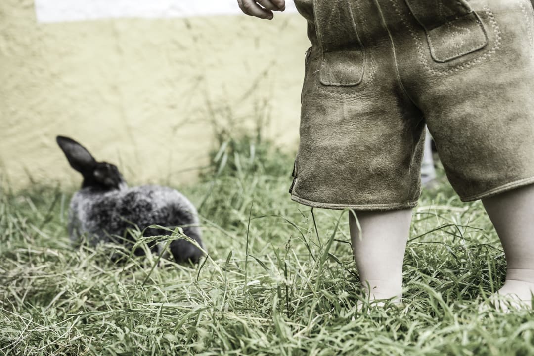 Sonstiges der Löckerwirt