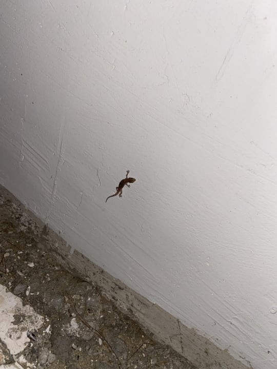 Gartenanlage Smy Kos Beach & Splash