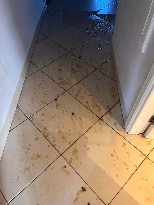 Zimmer allsun App.-Hotel Albatros