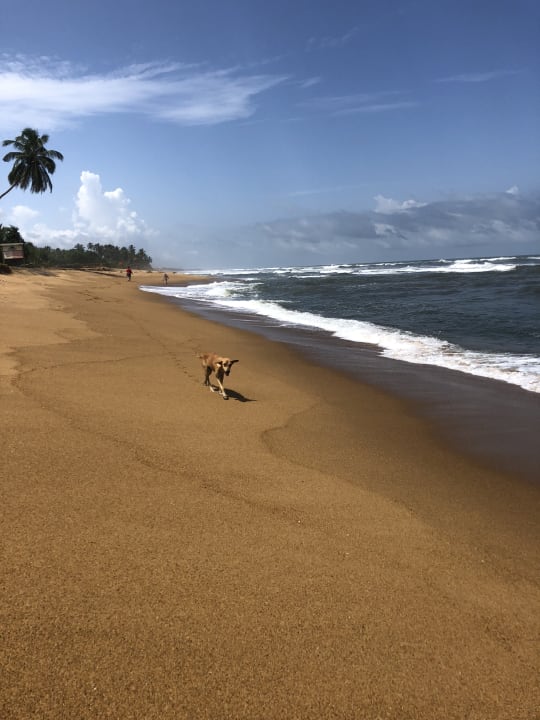 Strand Turyaa Kalutara
