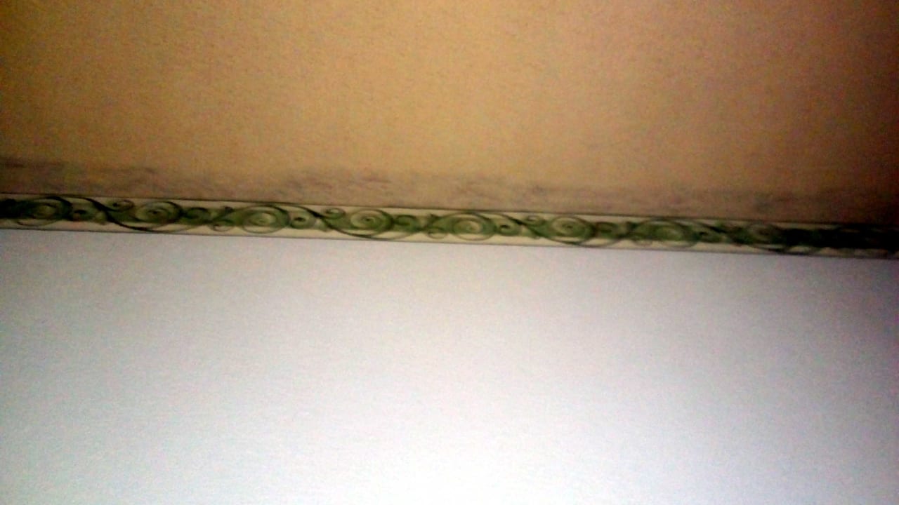 Zimmer Hodelpa Garden Suites