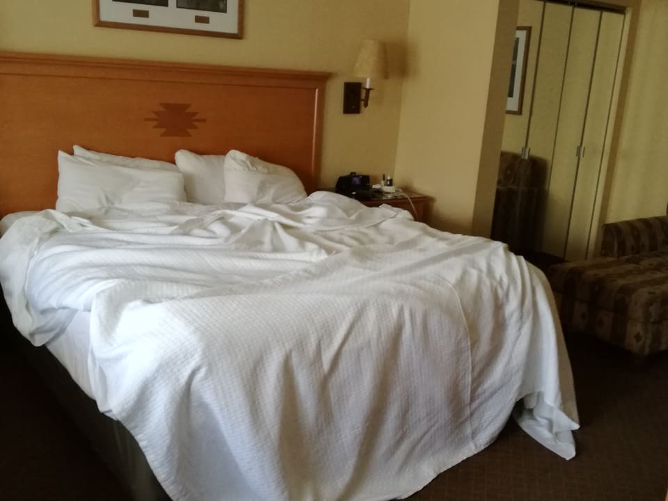 Zimmer The Squire at Grand Canyon