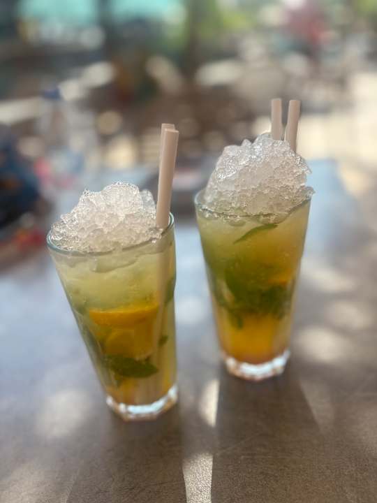 Gastro Arum Barut Collection