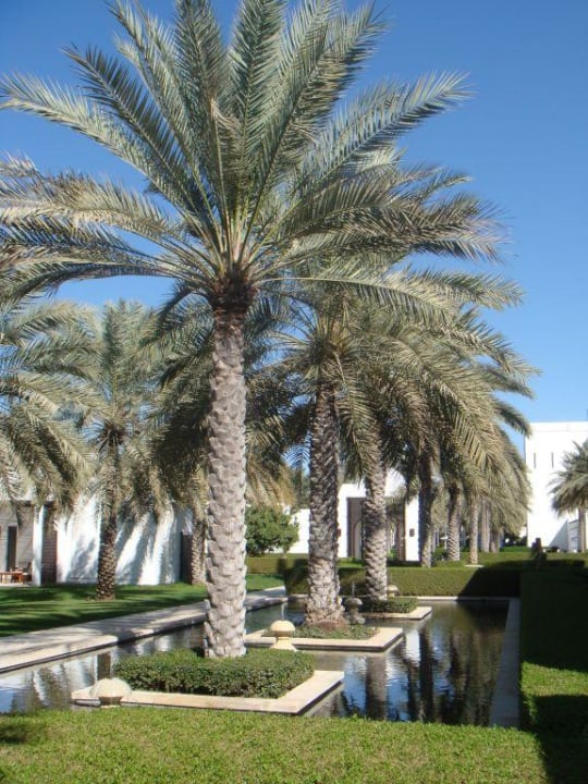 Gartenanlage The Chedi Muscat