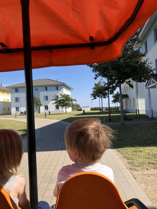 Gartenanlage BEECH Resort Boltenhagen