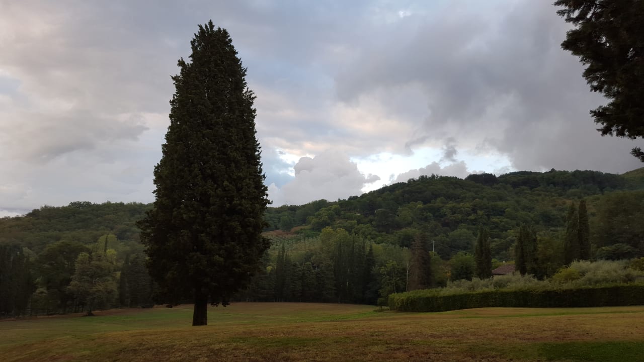 Gartenanlage Hotel Campestri