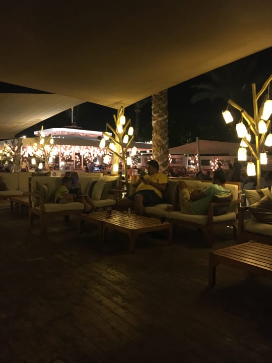 Sonstiges Desert Rose