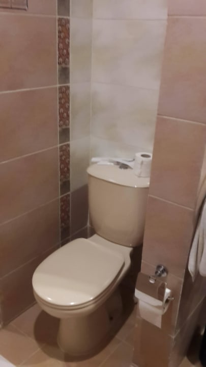 Toilette Pickalbatros Palace Resort