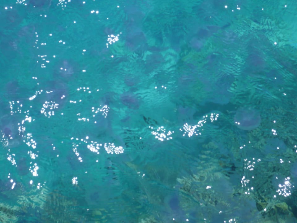 Quallen Stella Beach Resort & Spa Makadi Bay