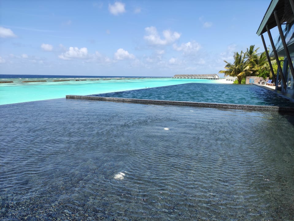 Pool Kuramathi Maldives
