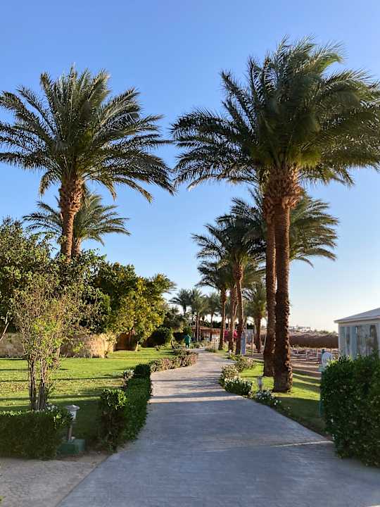 Gartenanlage Sentido Caribbean World Soma Bay