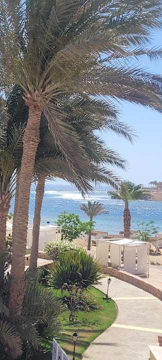 Außenansicht Steigenberger Coraya Beach - Adults only