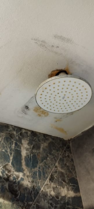 Zimmer Signature Blue Resort