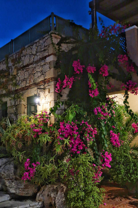 Gartenanlage Silva Beach Hotel