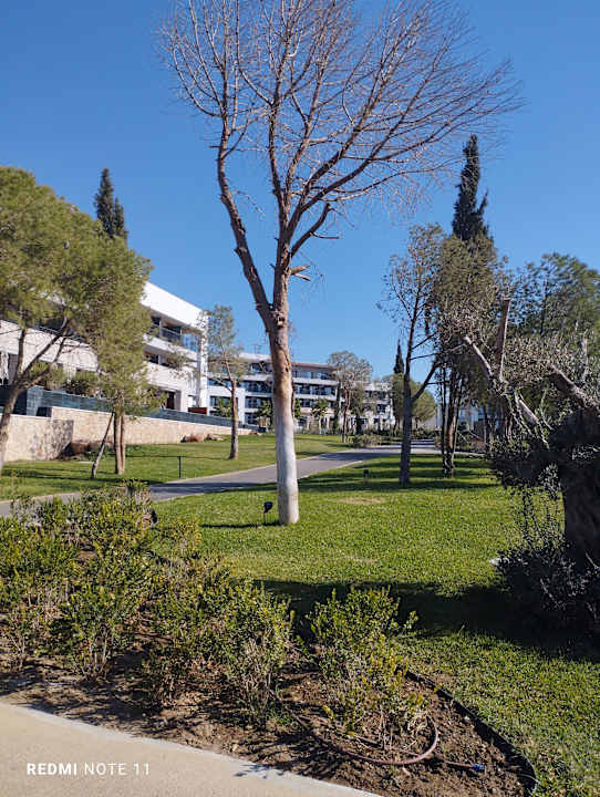 Sonstiges Anda Barut Collection