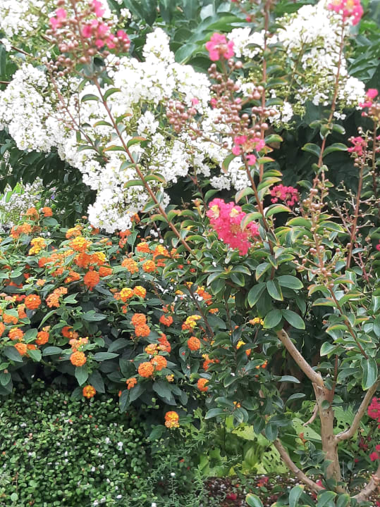 Gartenanlage IntercityHotel Mannheim