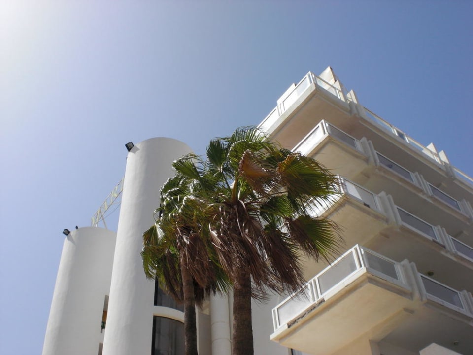 Palme im Sandsturm LABRANDA Marieta - Adults only