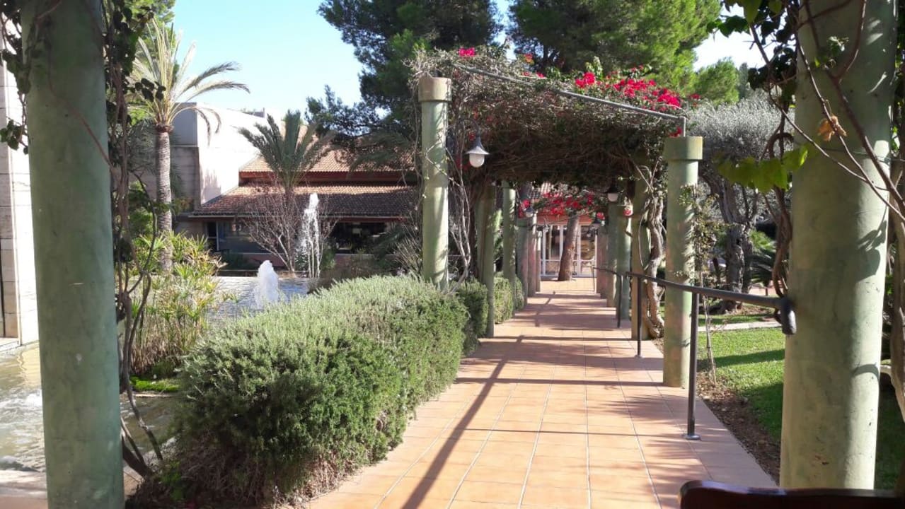 Gartenanlage Green Garden Aparthotel