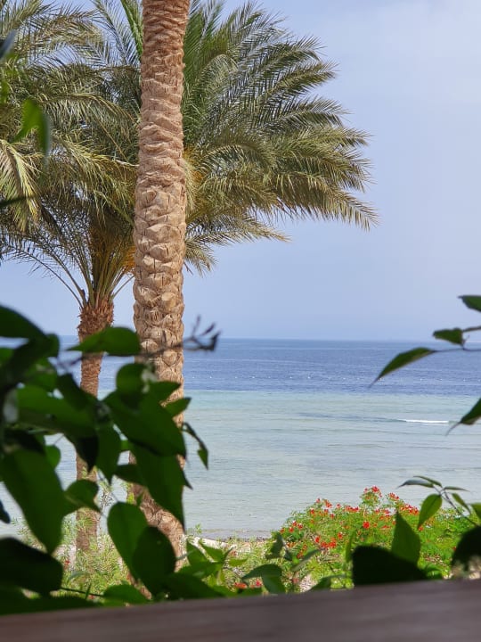 Strand Makadi Spa - Adults only