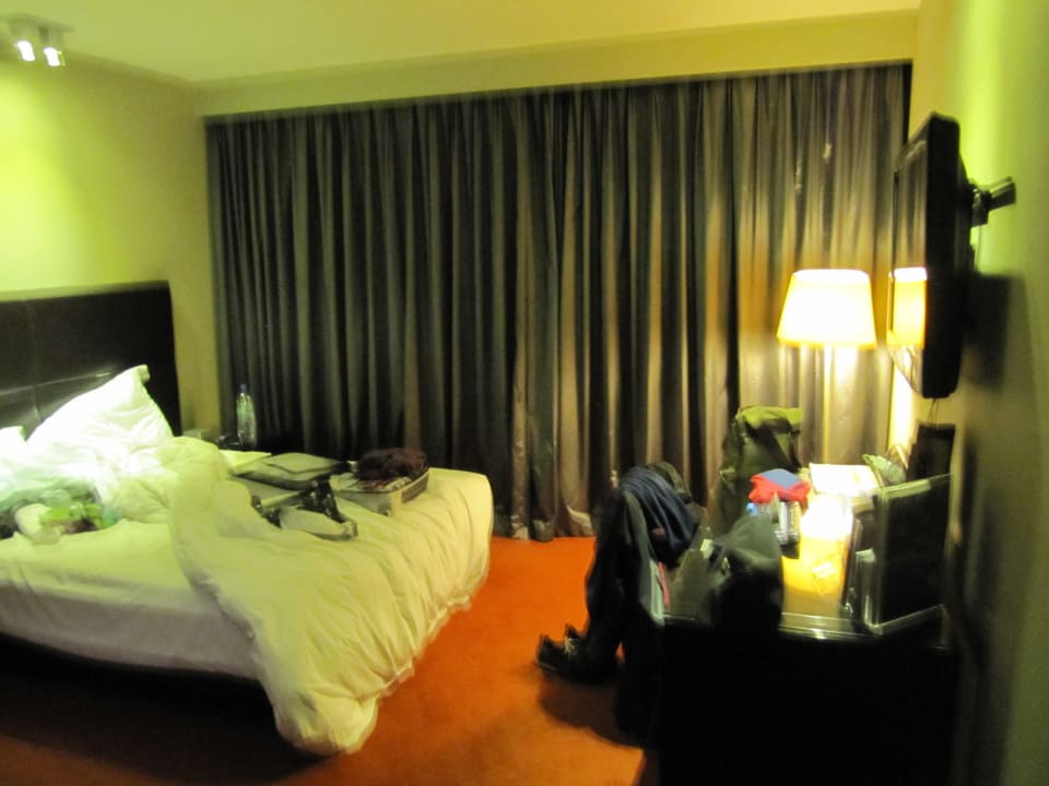 Zimmer Park Plaza Westminster Bridge London