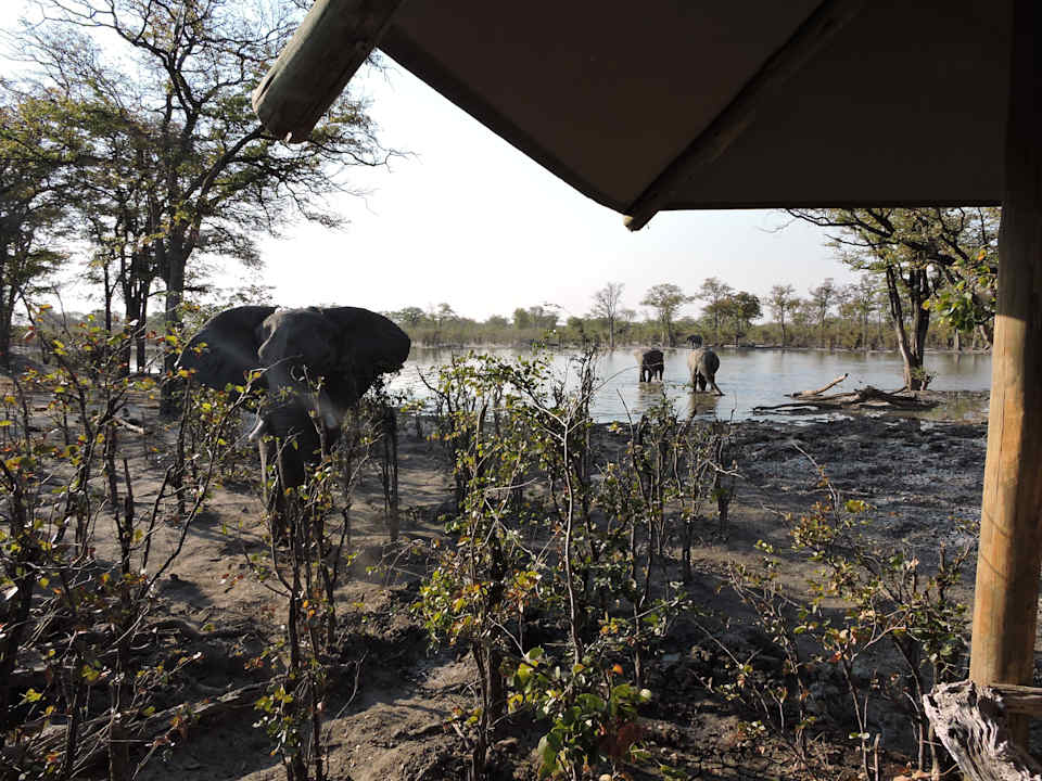 Ausblick Hyena Pan Tented Camp