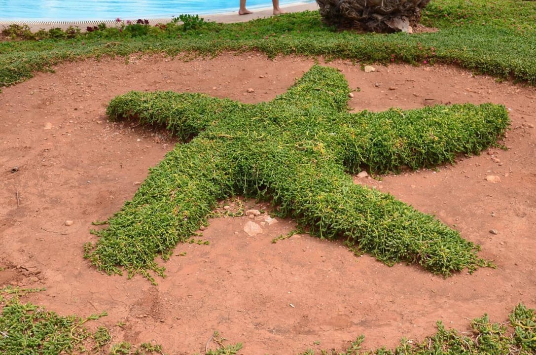 Ogrody Iberostar Waves Founty Beach