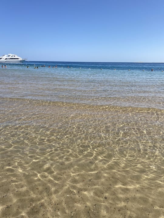 Strand Eagles Paradise Abu Soma