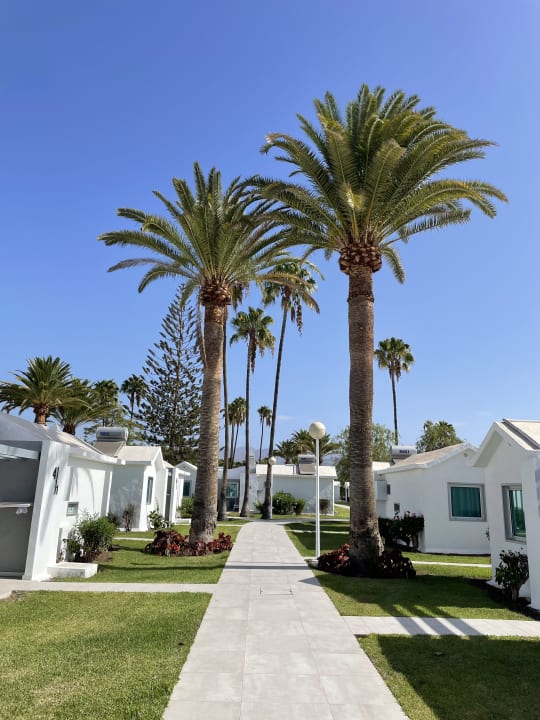 Gartenanlage Canary Garden Club