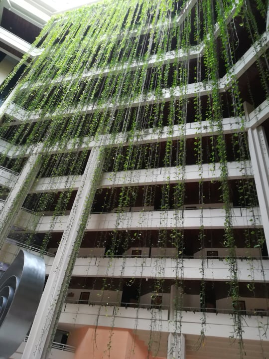 Lobby Blau varadero - Adults only