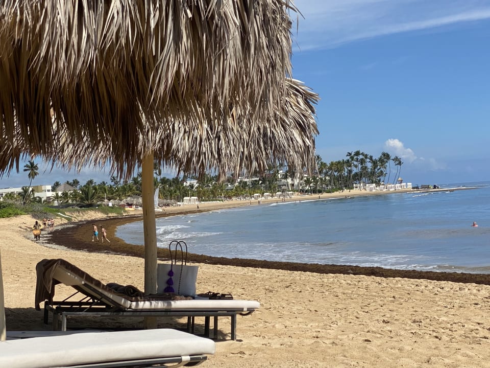 Strand Live Aqua Punta Cana - All Inclusive - Adults Only