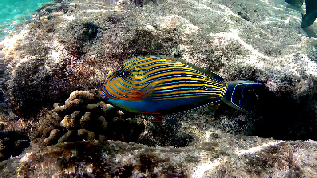 Sport & Freizeit Adaaran Select Hudhuran Fushi - Premium All Inclusive