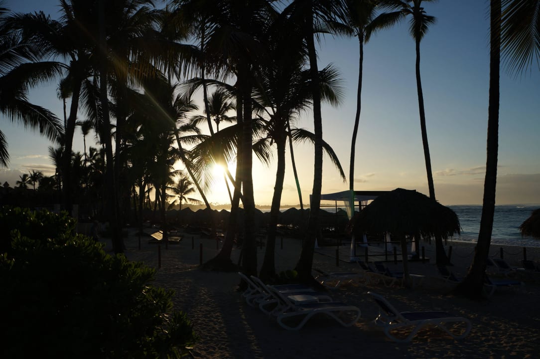 Bavaro Royalton Splash Punta Cana