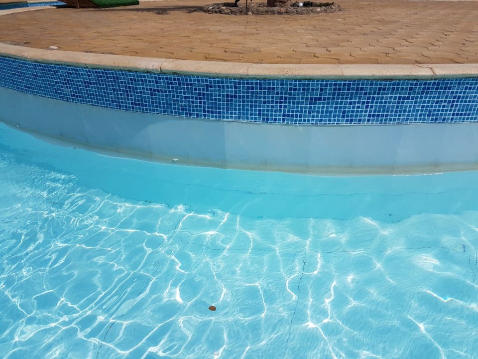 Pool Three Corners Sea Beach Resort